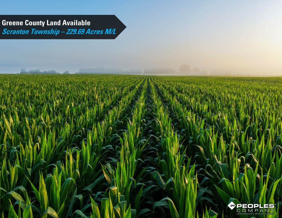 Listing Photo: Greene-County-Iowa-Land-Available-Scranton-Iowa-229-Acres-19614 (6)
